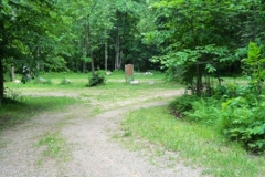 Our available campsites nestled in trees on green grass with gravel driveway