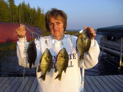 Barb_with_Bluegills