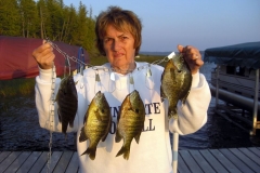 Barb_with_Bluegills