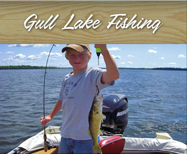 Gull Lake fishing