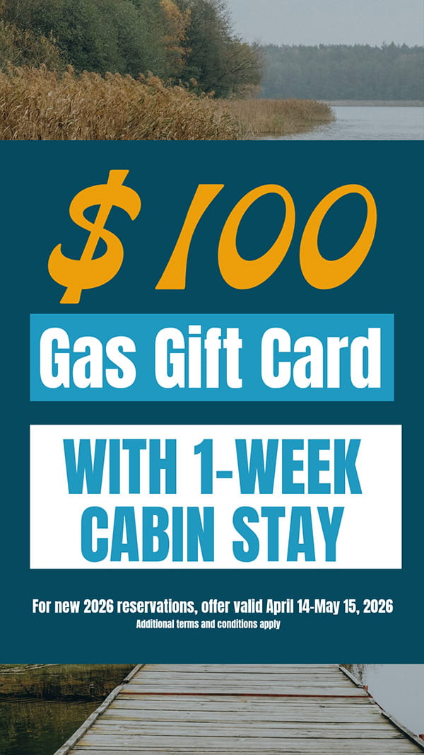 $100 Gas Promo mobile