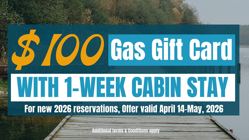 $100 Gas Promo