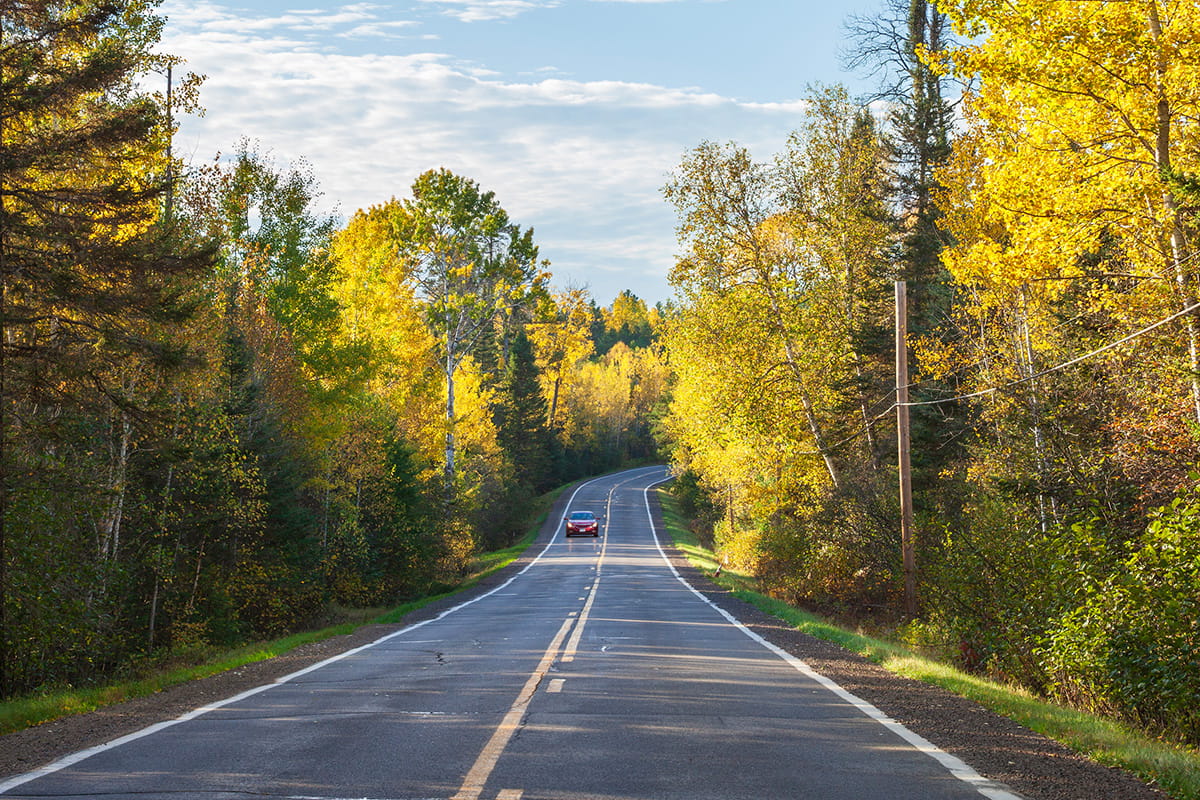 Looking at fall leaves on a northern Minnesota drive