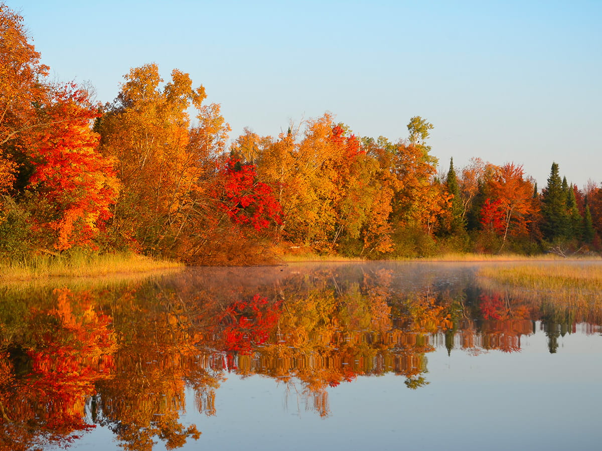 Trees in full fall color at the resort